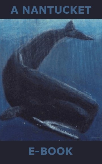 Default cover for a Nantucket E-Book, showing an illustration by Edward Fuglø of a diving sperm whale