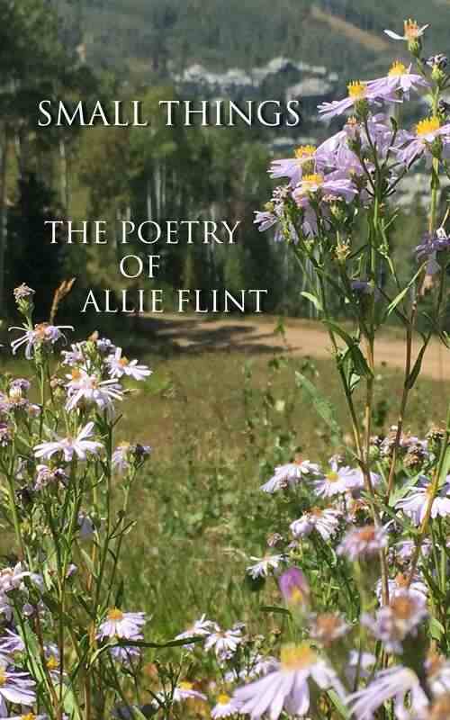 Cover of Small Things, the Poetry of Allie Flint, showing Aspen Daisies at the Beaver Creek Resort in Colorado during late summer.