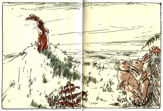 In the summer, the Velveteen Rabbit and some live rabbit look at each other.