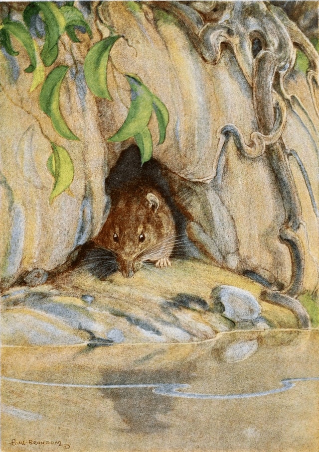 Illustration of Water Rat leaving his den along the river.